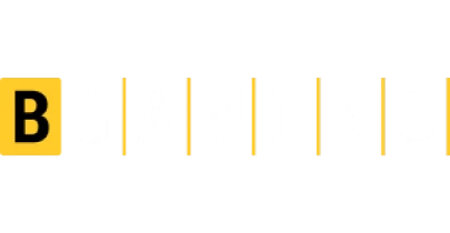 भागीदार जो SonsyGame के साथ काम करते हैं